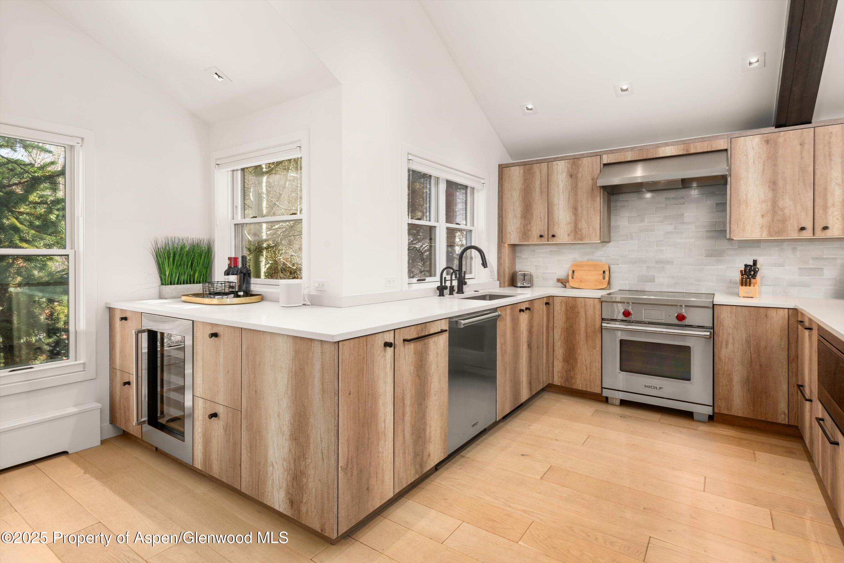 929 East Durant Avenue, Unit 4 Aspen, CO 81611 - Photo 21 of 43 59-929eDurant_2504090032