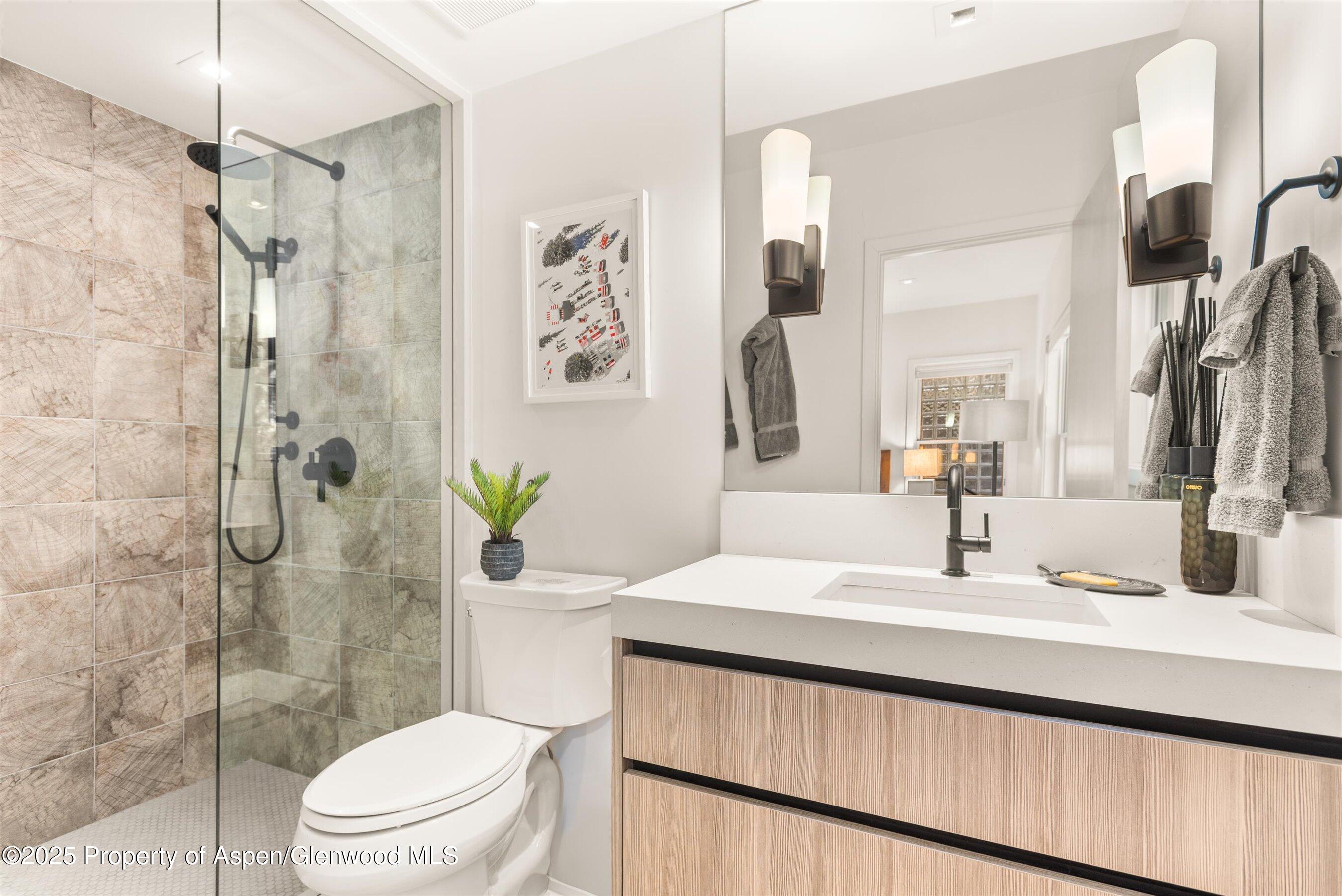 929 East Durant Avenue, Unit 4 Aspen, CO 81611 - Photo 28 of 43 70-929eDurant_2504090043