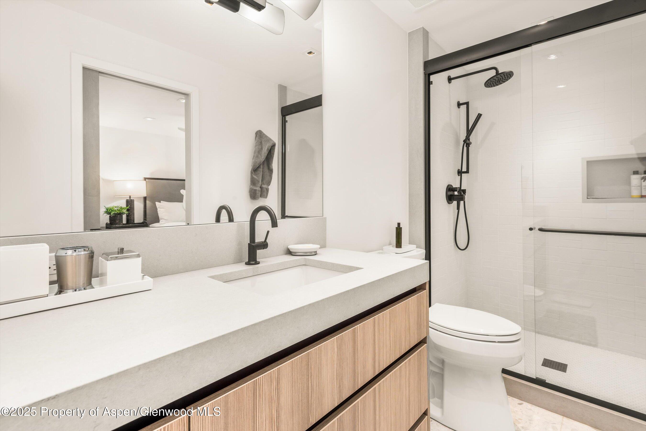 929 East Durant Avenue, Unit 4 Aspen, CO 81611 - Photo 29 of 43 a bathroom with a sink a toilet and shower