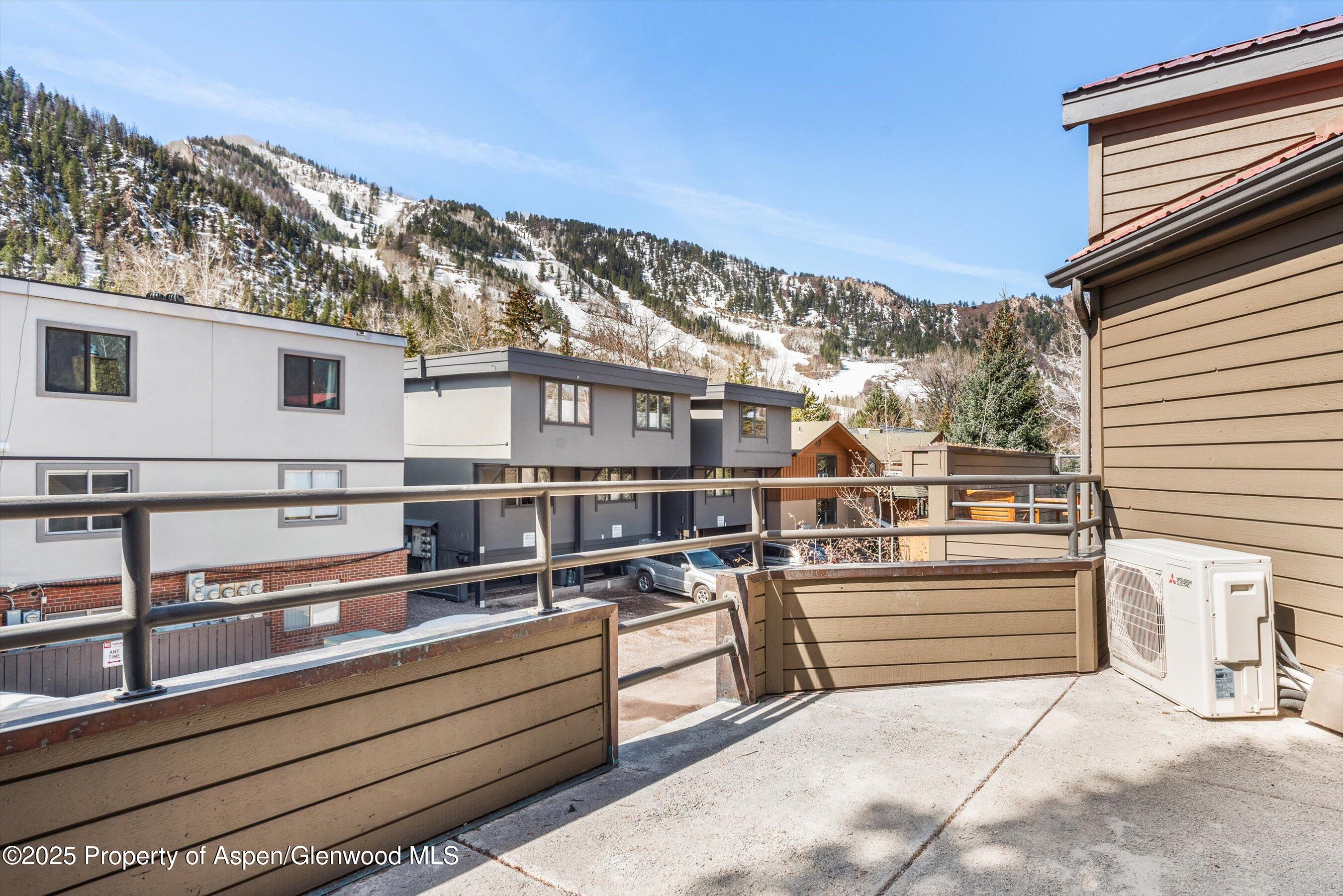 929 East Durant Avenue, Unit 4 Aspen, CO 81611 - Photo 37 of 43