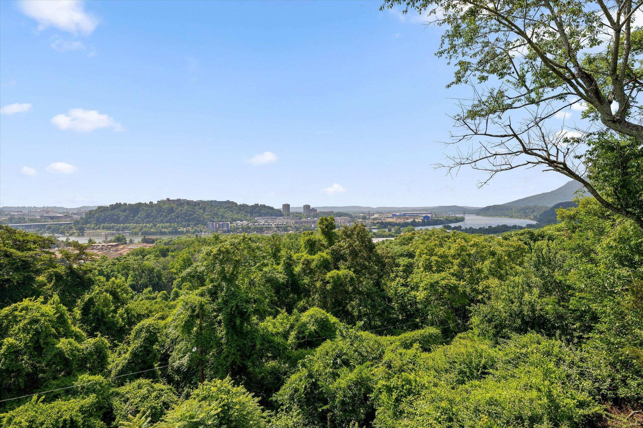 302 Walsh Road Chattanooga, TN 37405 - Photo 11 of 84 55-302 Walsh Rd-31