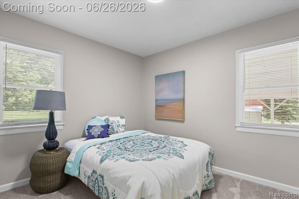 43600 Crowley Road Belleville, MI 48111 - Photo 19 of 33