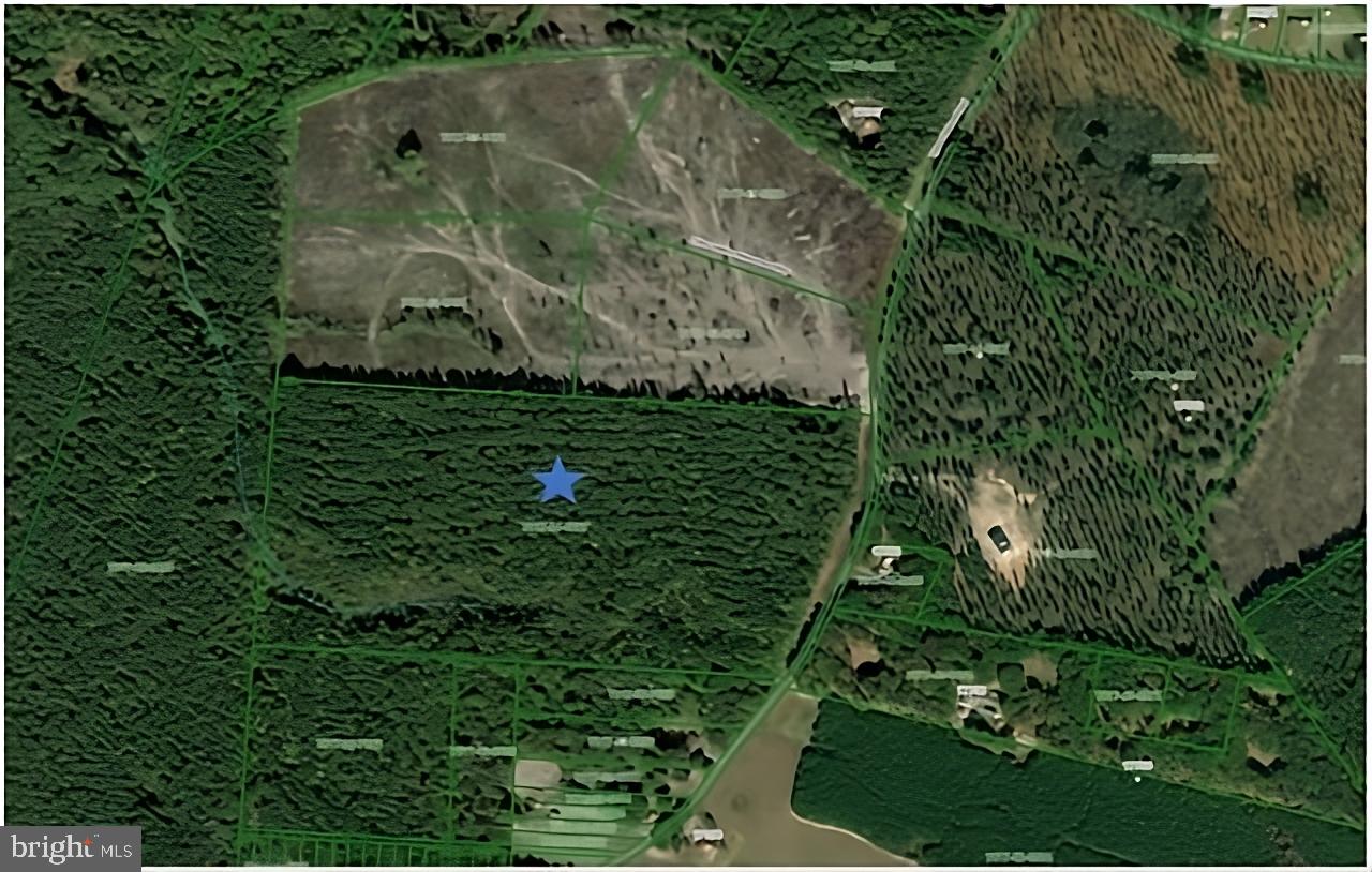 Tyler Station Road Beaverdam, VA 23015 - Photo 2 of 7 Gallery Image 2