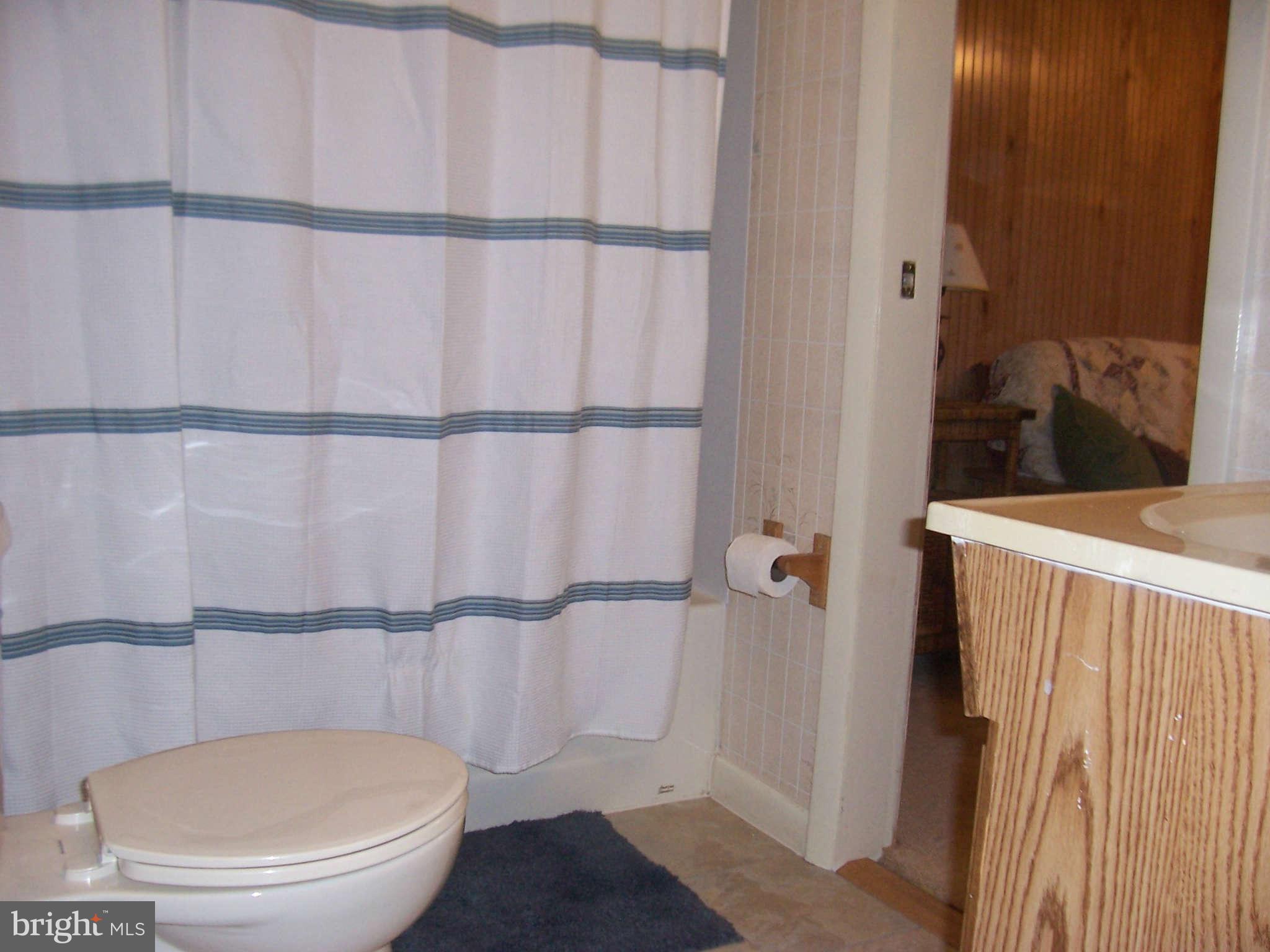 7107 Old Dickersons Road Orange, VA 22960 - Photo 14 of 20 Bath