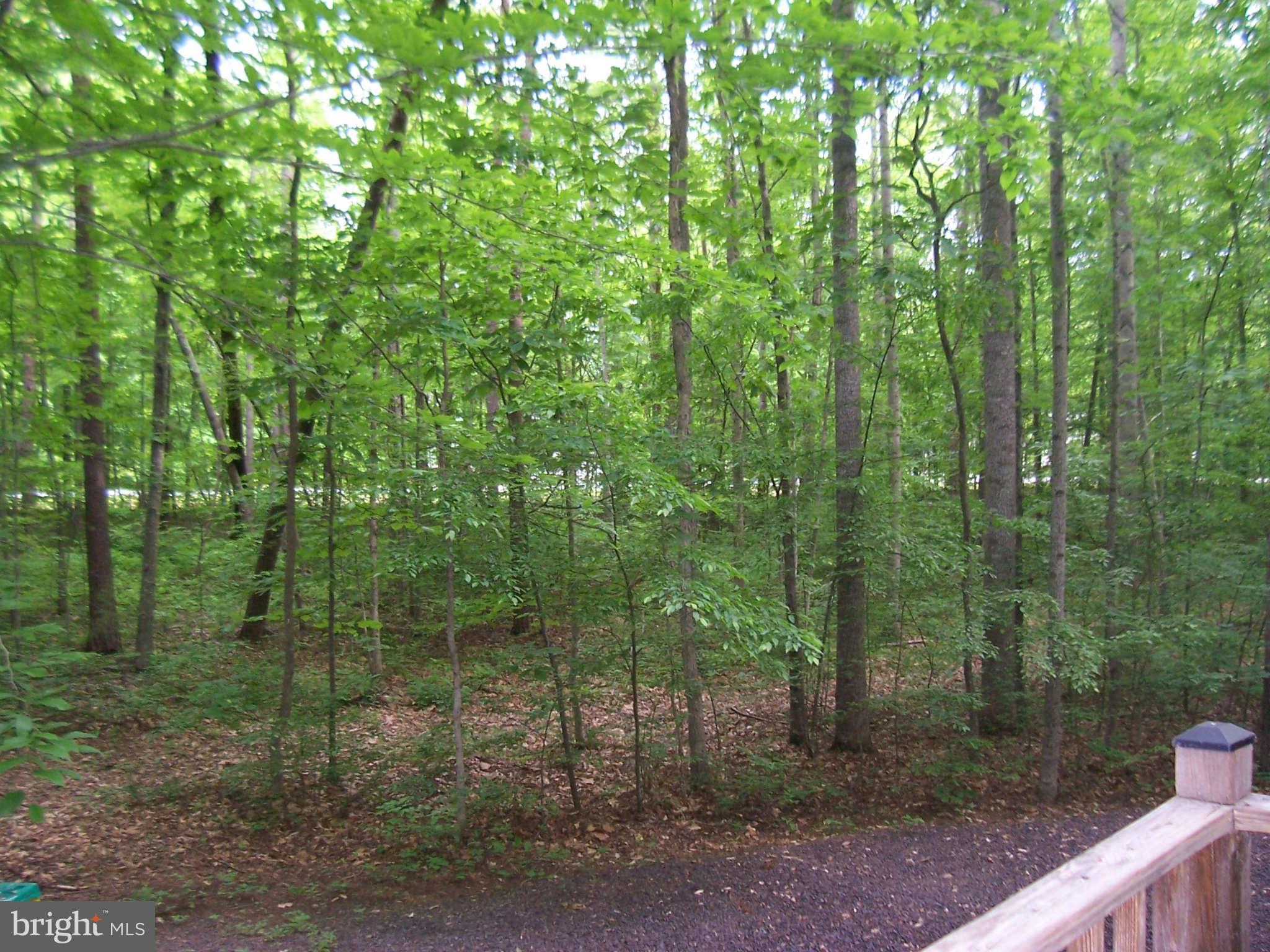7107 Old Dickersons Road Orange, VA 22960 - Photo 20 of 20 View
