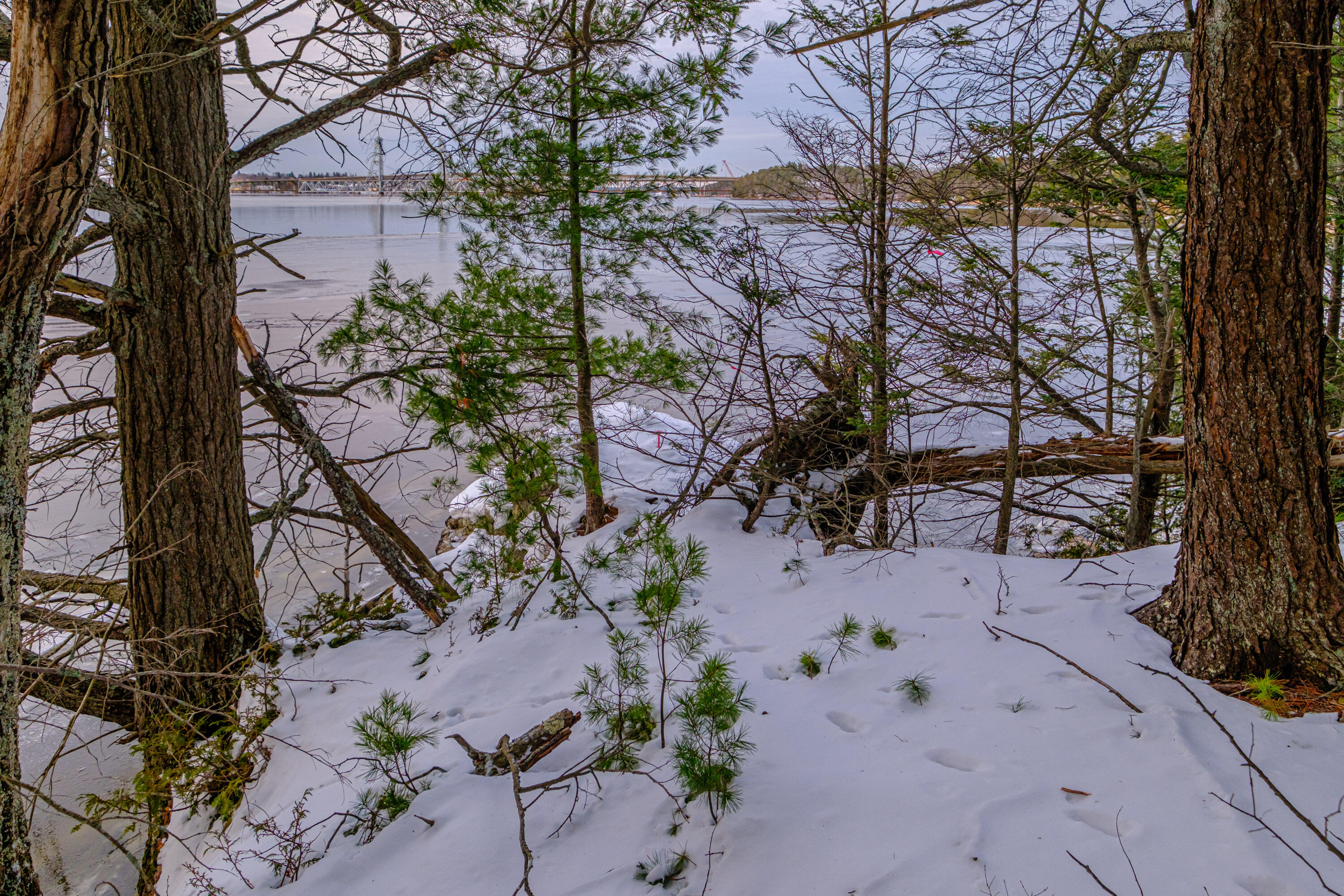 0 Field Road Bath, ME 04530 - Photo 27 of 36 20251209gp-62030
