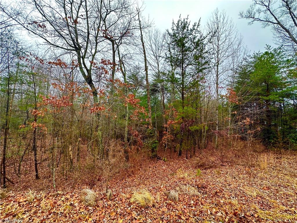 Lot 45 Ridge Run Road Boomer, NC 28606 - Photo 1 of 7 Gallery Image 1