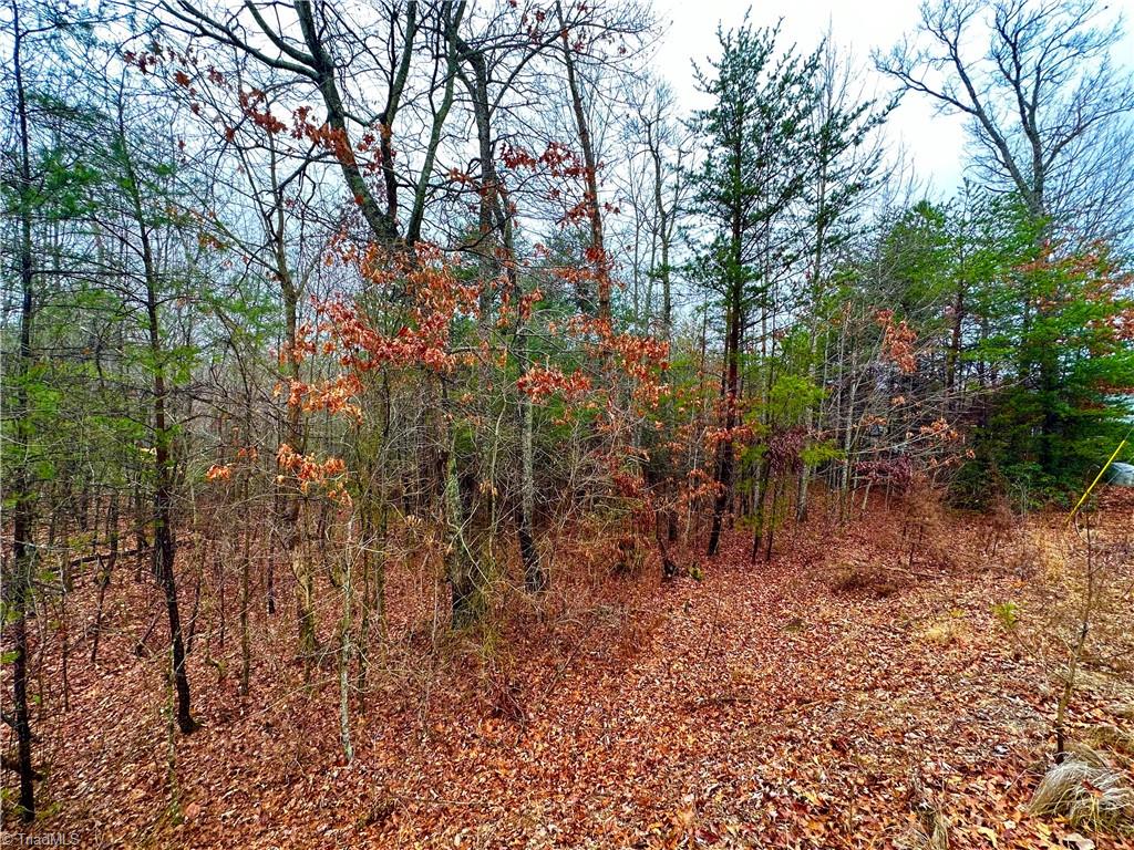 Lot 45 Ridge Run Road Boomer, NC 28606 - Photo 2 of 7 Gallery Image 2