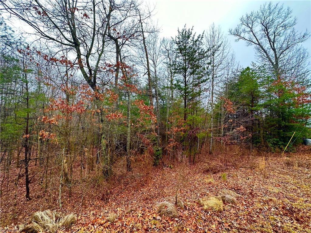 Lot 45 Ridge Run Road Boomer, NC 28606 - Photo 3 of 7 Gallery Image 3