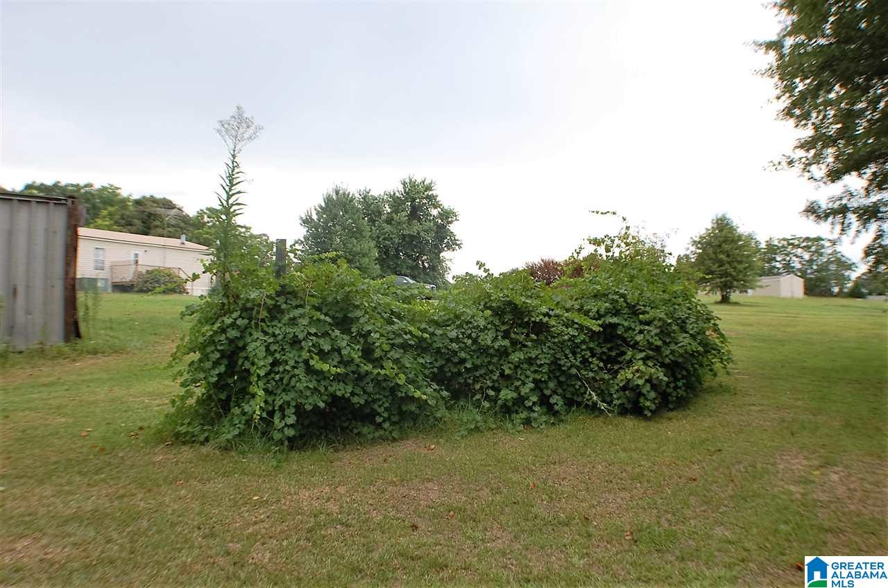 155 County Road 177 Jemison, AL 35085 - Photo 12 of 34