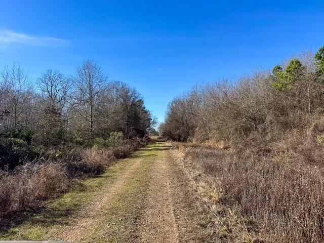 a view of mountain view with trees in the background