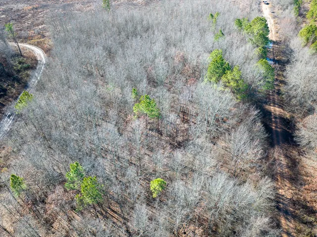 a backyard of a house with lots of green space and trees