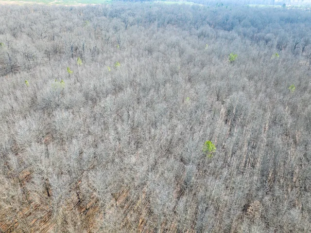 a close up of a white marble wall
