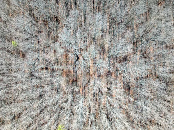 a view of a yard with a lake view