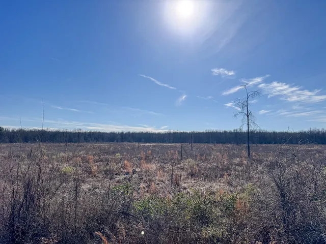 a view of mountain with lake view