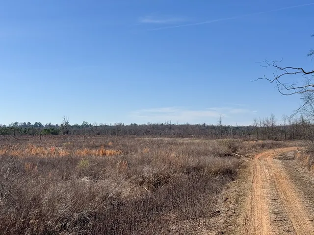 a view of a dry yard with wooden fence