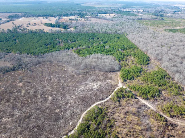 a view of a yard with an ocean