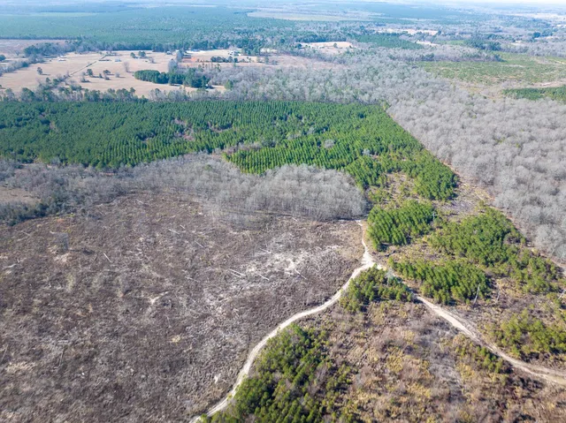 a view of a yard with an ocean