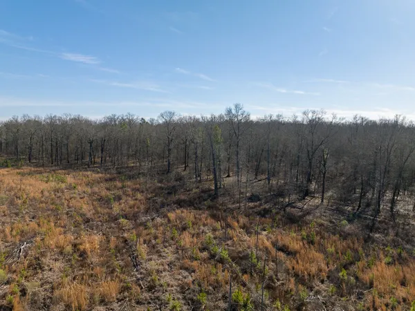a view of a yard with trees in the background