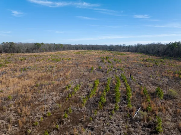 a view of lake with mountain in the background