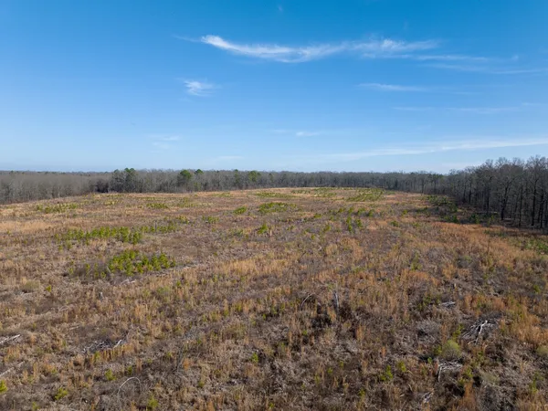 a view of an outdoor space and a yard