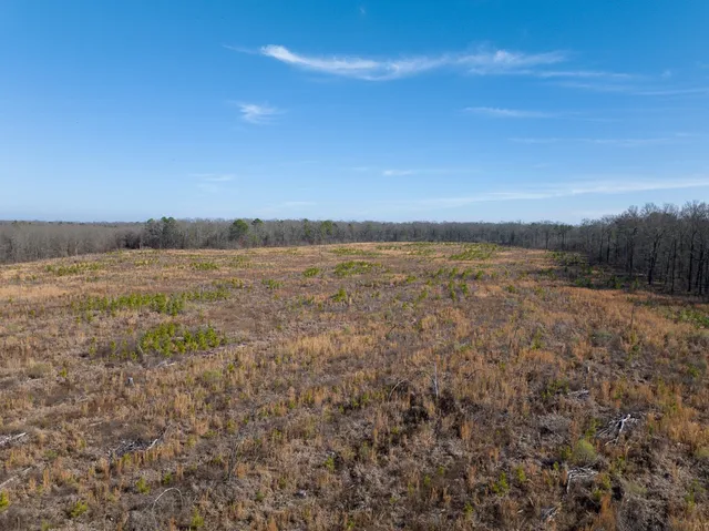a view of an outdoor space and a yard