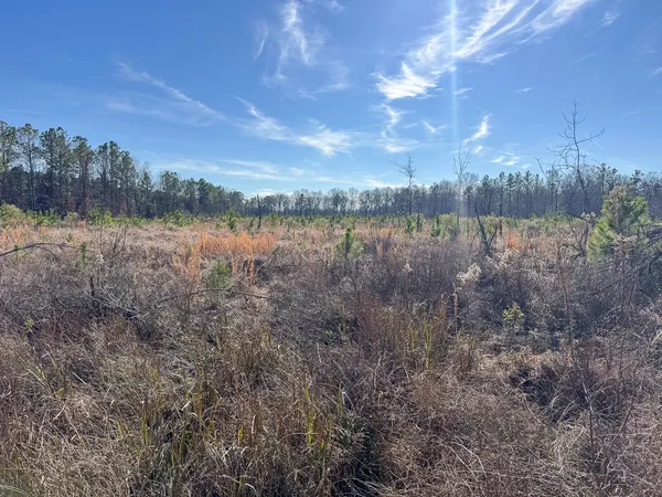 a view of lake with green space