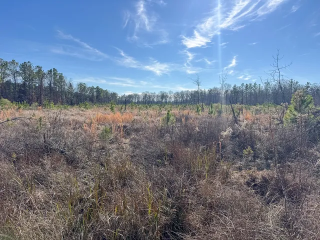 a view of lake with green space