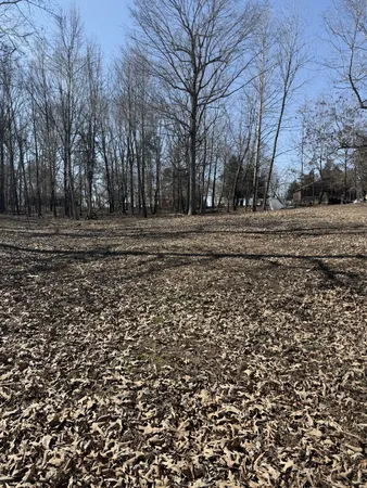 a view of dirt yard with trees