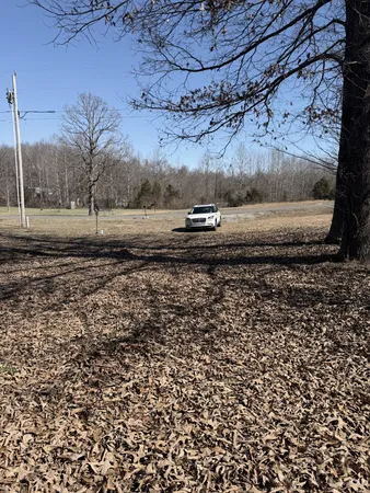 a view of a backyard of a house