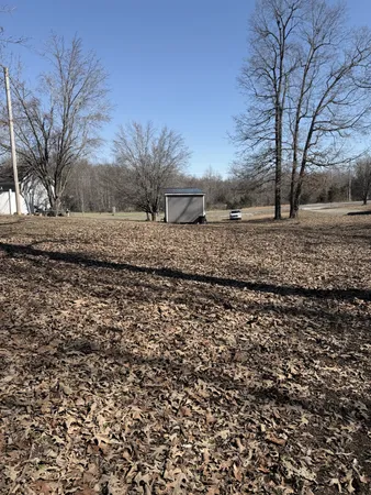 a view of dirt yard with a large tree