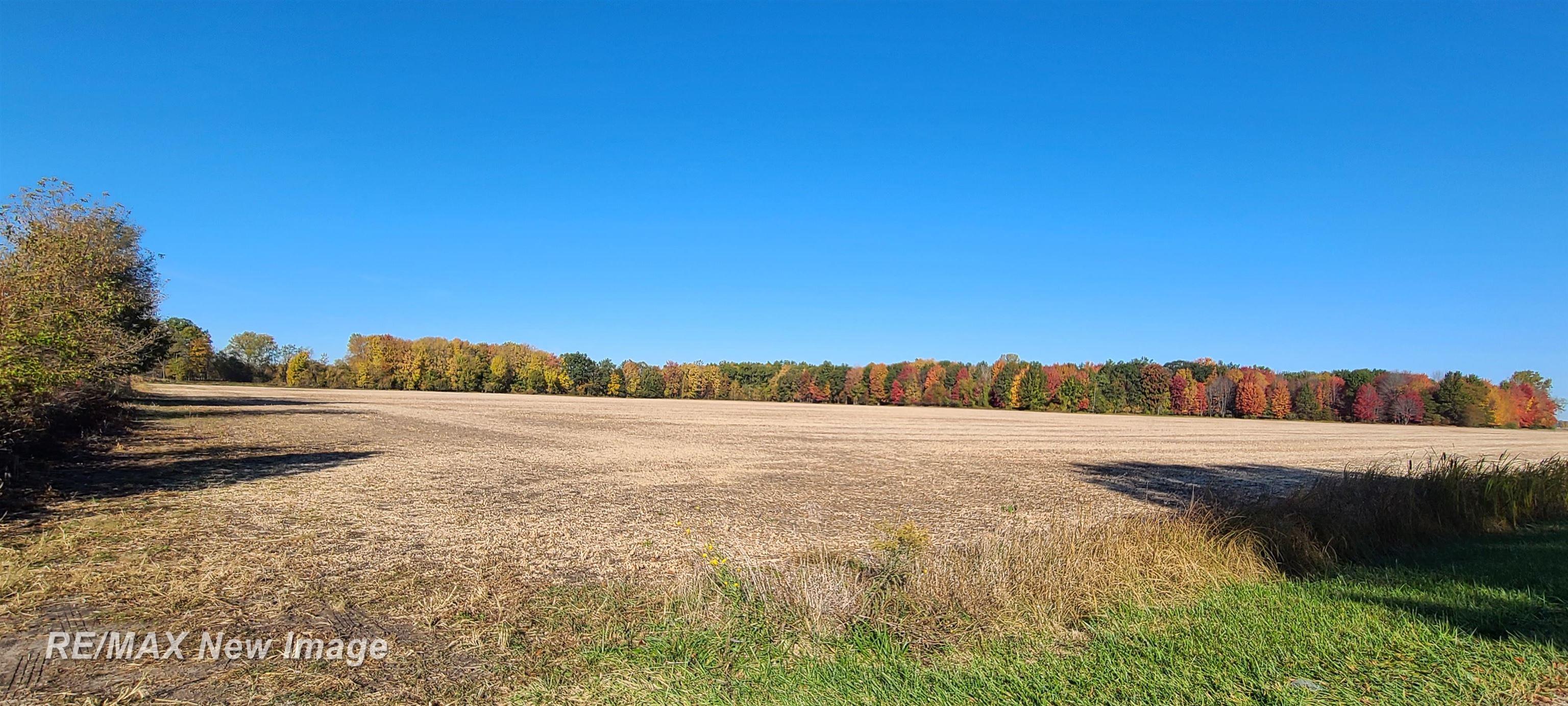 12000 Amman Road St. Charles, MI 48655 - Photo 4 of 9 Gallery Image 4