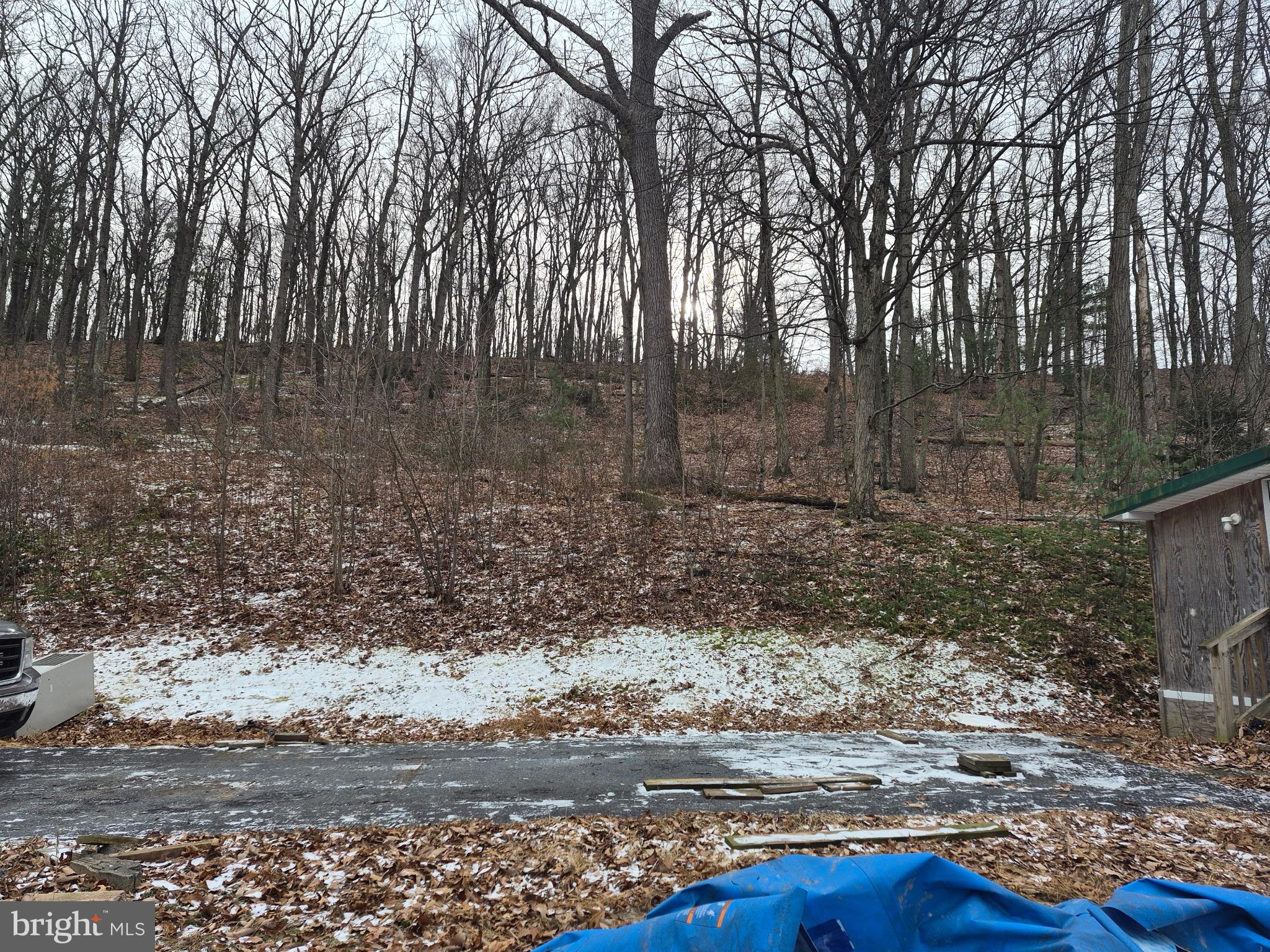 415 Daniel Road Newport, PA 17074 - Photo 6 of 19 a backyard of a house with lots of green space