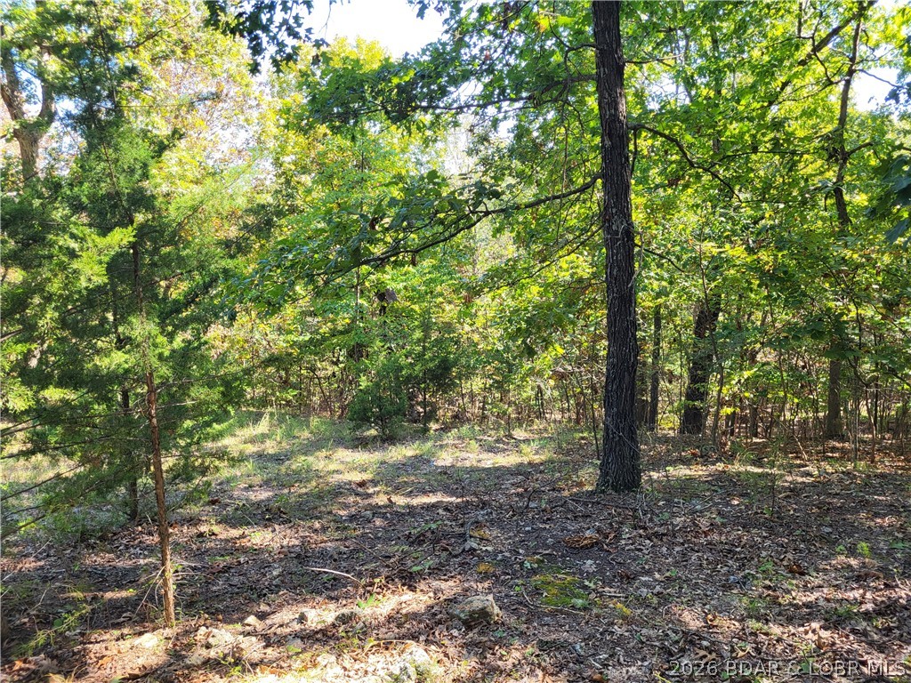 32534 Compromise Road Gravois Mills, MO 65037 - Photo 6 of 12
