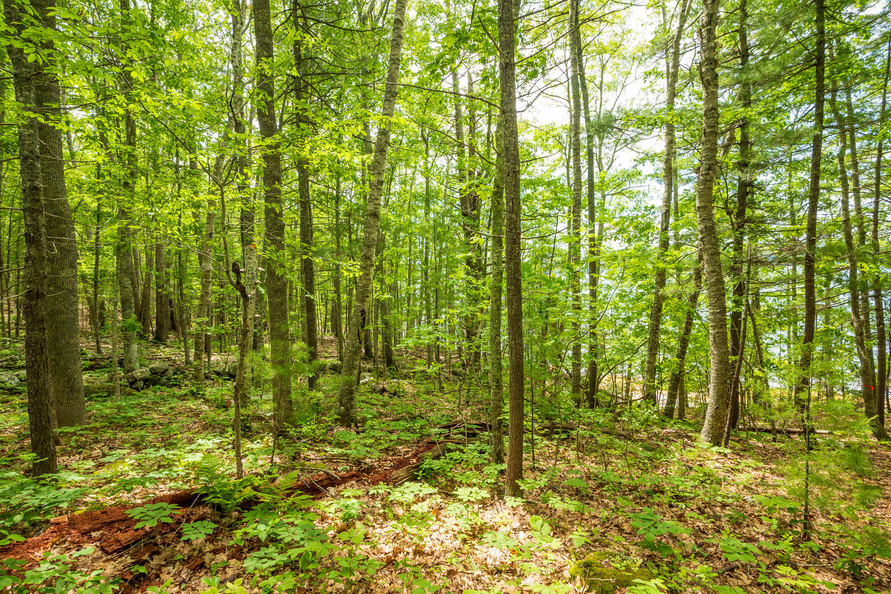 21 A Map 12 Lot21-a Bristol Road Bristol, ME 04539 - Photo 8 of 27 37-Near huston Ln-15