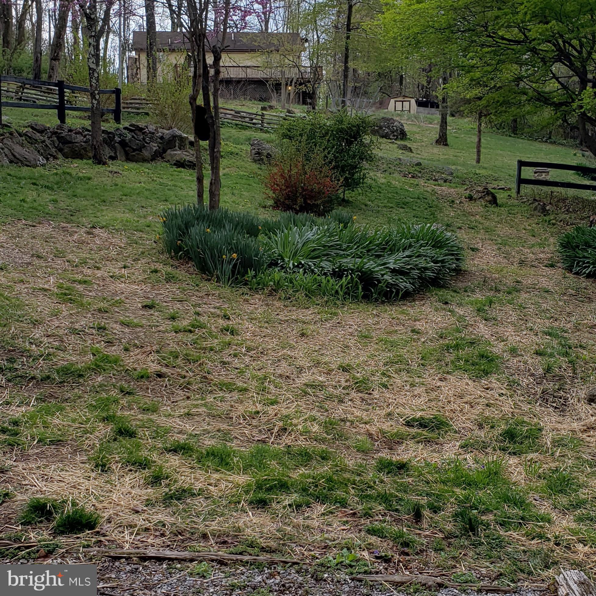 52 Forest Road Front Royal, VA 22630 - Photo 5 of 26 Lovely front yard