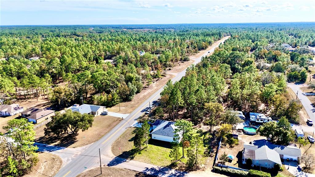 10984 North G Martinelli Boulevard Citrus Springs, FL 34433 - Photo 8 of 43