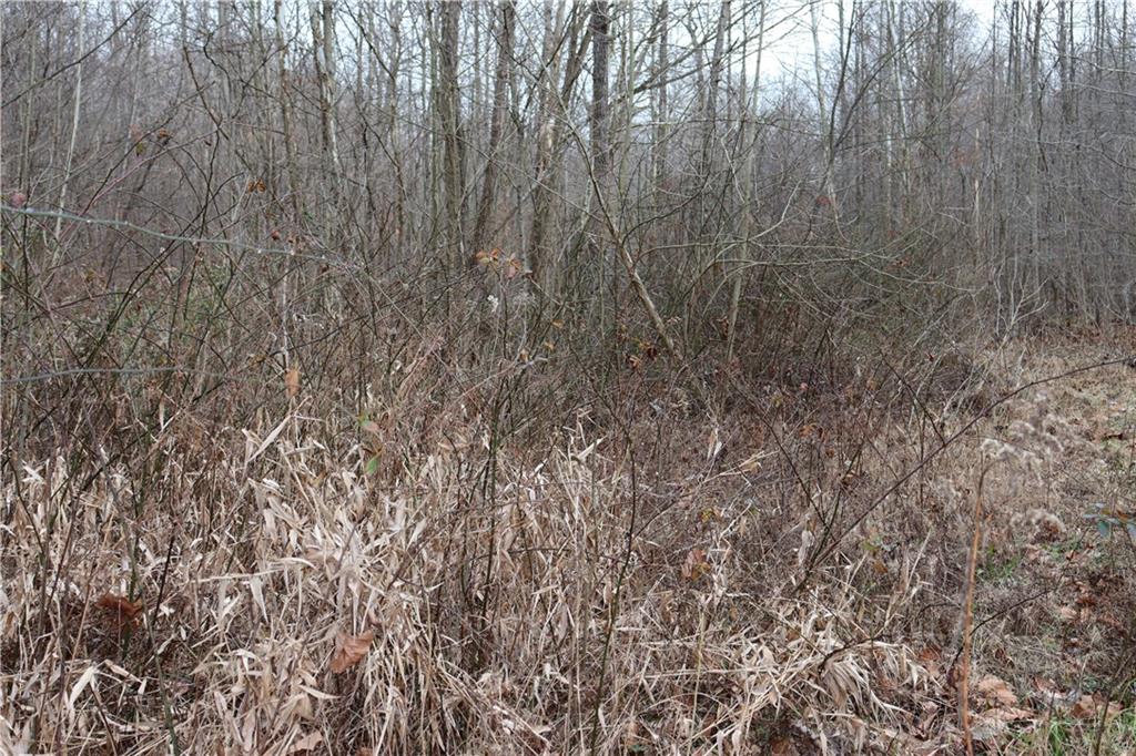 0 Parrish Road Freedom, IN 47431 - Photo 21 of 26