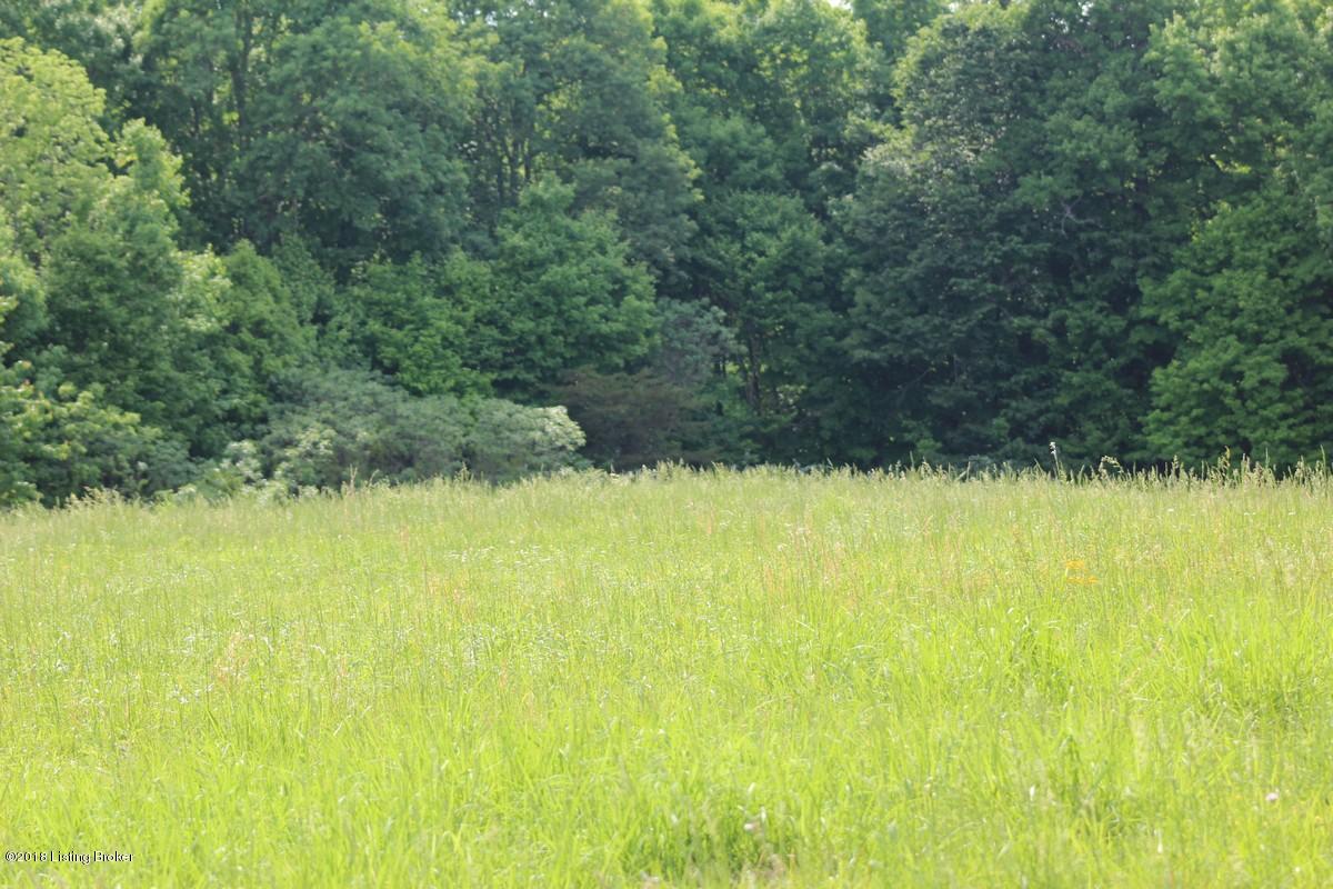 1000 Ready Jackson Road Caneyville, KY 42721 - Photo 18 of 31 Mudd Farms16