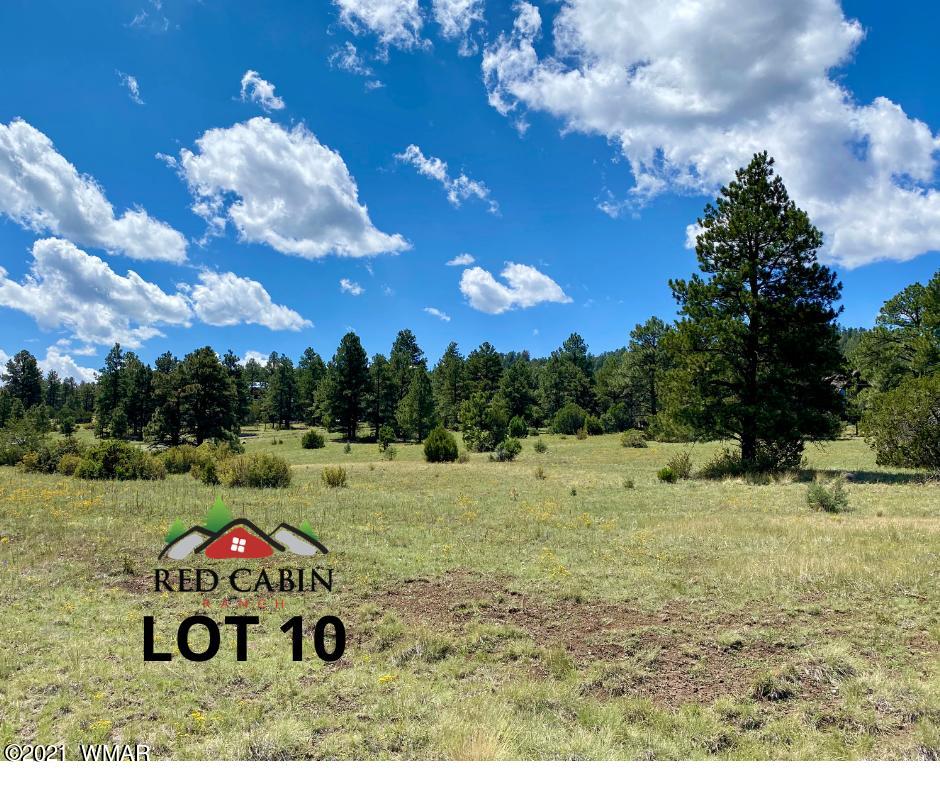 Lot 10 Red Cabin Ranch Vernon, AZ 85940 - Photo 2 of 20 a view of outdoor space and yard