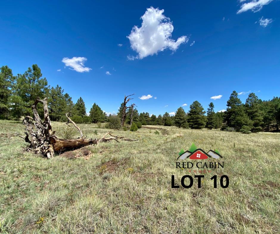 Lot 10 Red Cabin Ranch Vernon, AZ 85940 - Photo 8 of 20 a view of a outdoor space with a car park