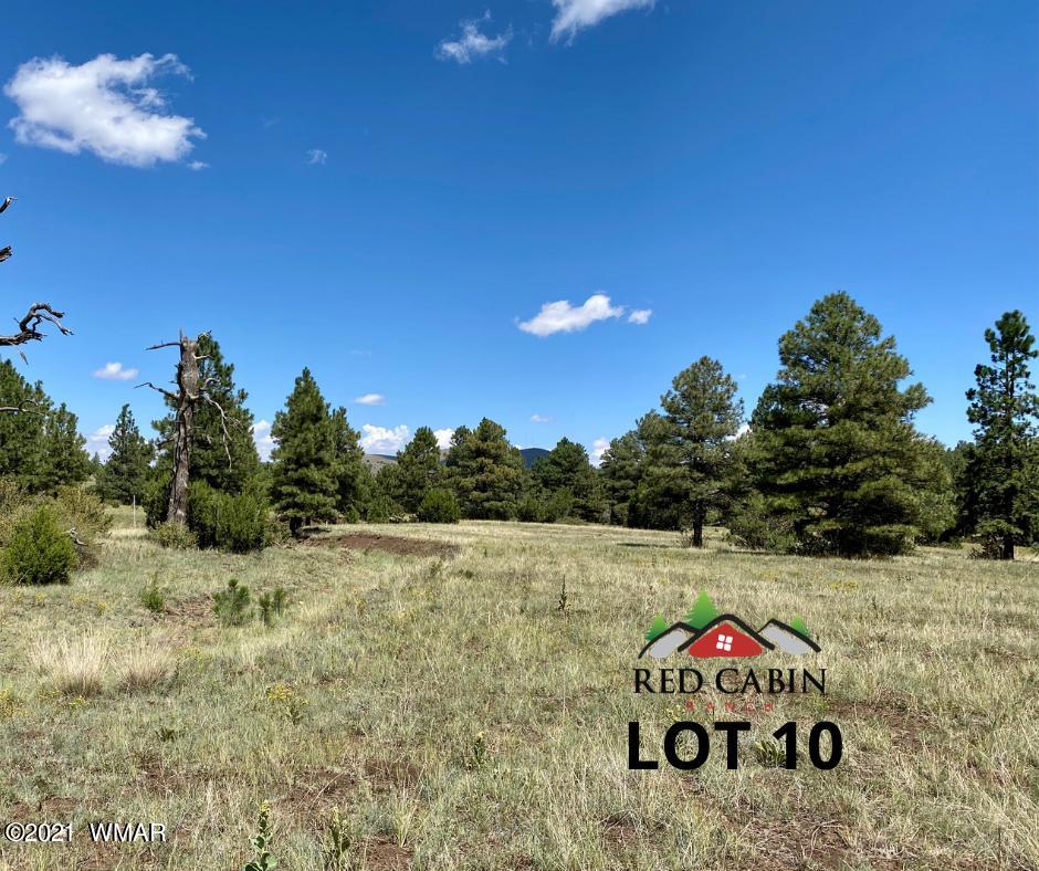 Lot 10 Red Cabin Ranch Vernon, AZ 85940 - Photo 9 of 20 a view of a room with a tree