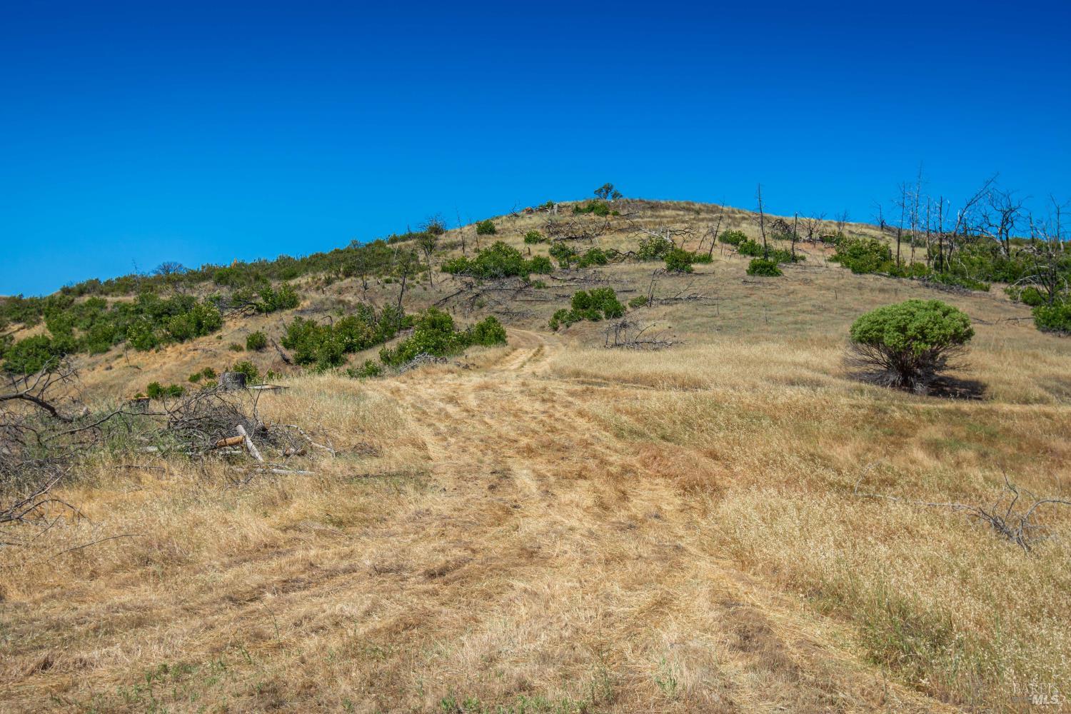 0 Pope Canyon Road St. Helena, CA 94574 - Photo 55 of 57