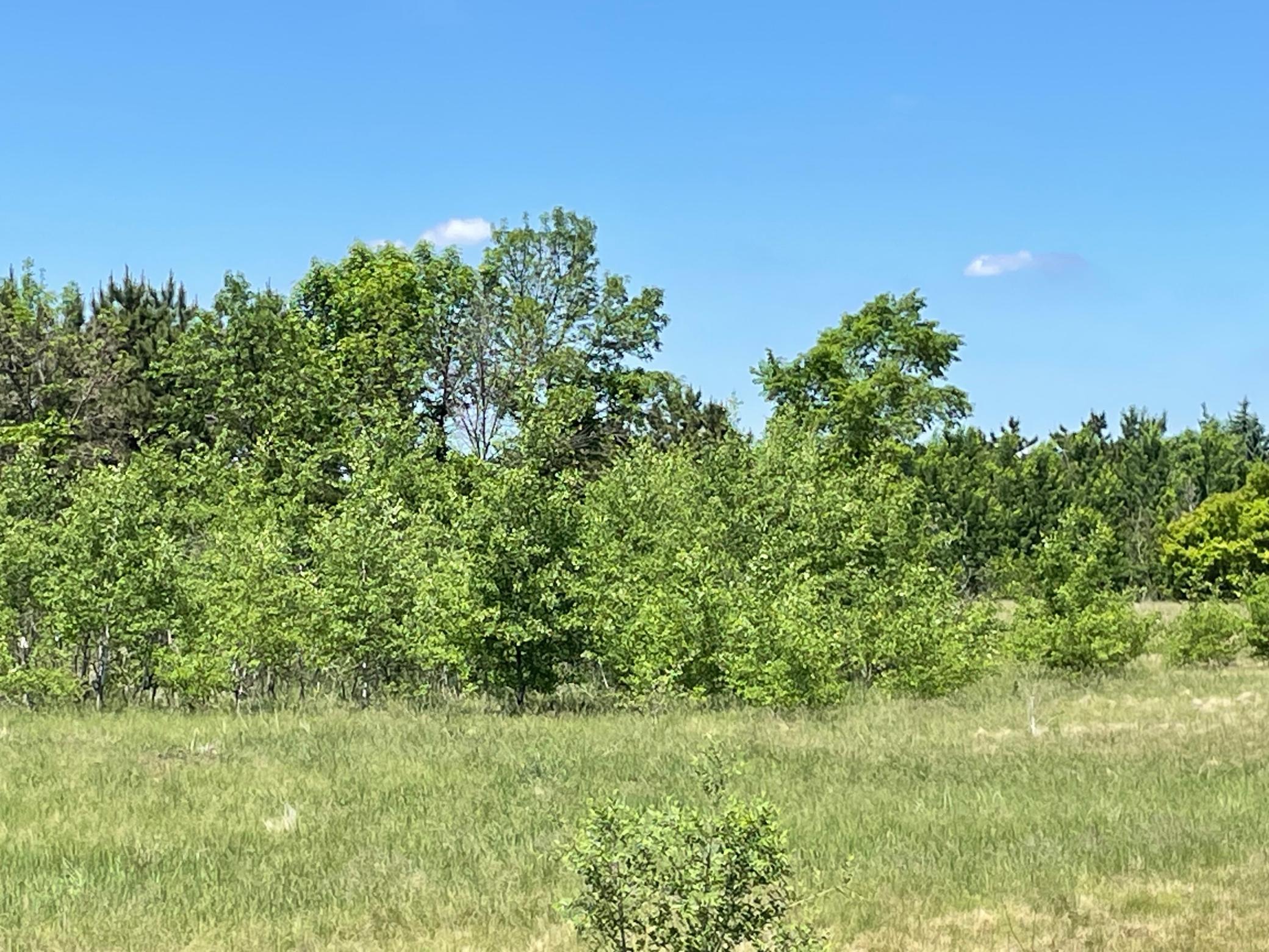 Tbd Turtle Creek Circle Cold Spring, MN 56320 - Photo 11 of 16