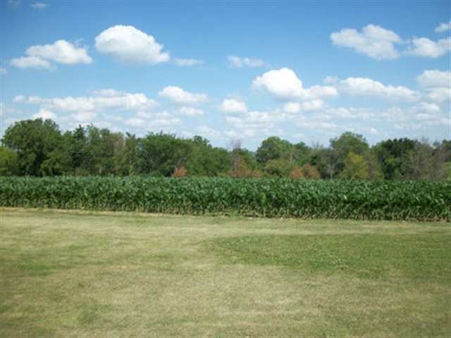 8729 South Massbach Road Elizabeth, IL 61028 - Photo 11 of 12 a view of a field with an trees in the background