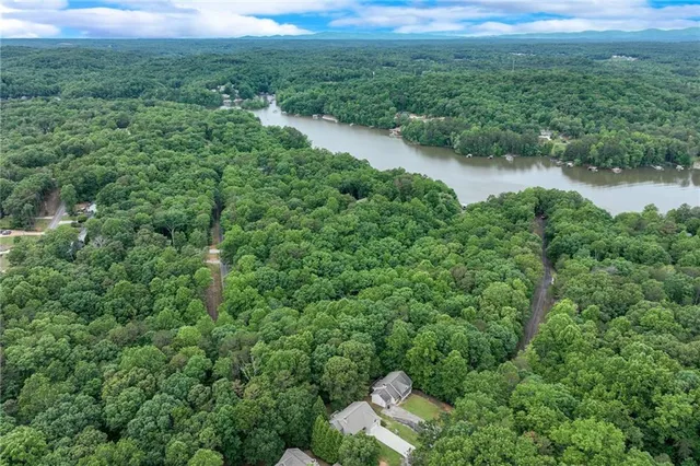 a view of a forest with a houses