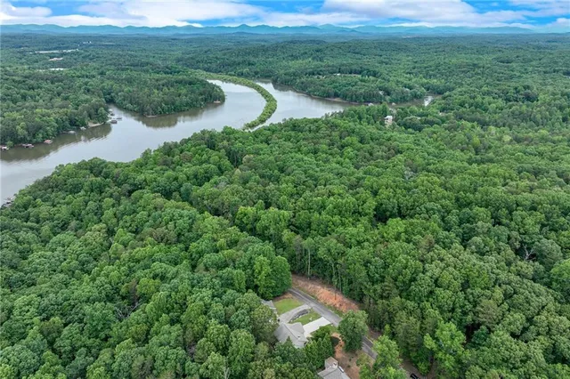 a view of a lush green forest with lots of trees and houses