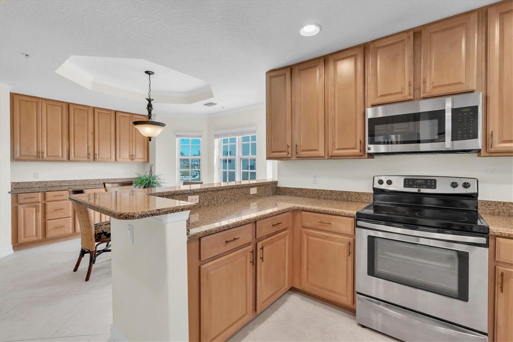 10002 Key Haven Road, Unit 201 Seminole, FL 33777 - Photo 12 of 70