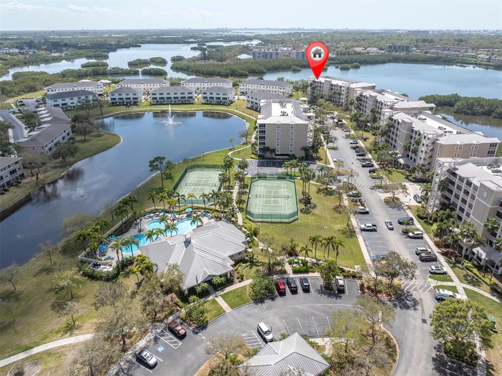 10002 Key Haven Road, Unit 201 Seminole, FL 33777 - Photo 35 of 70