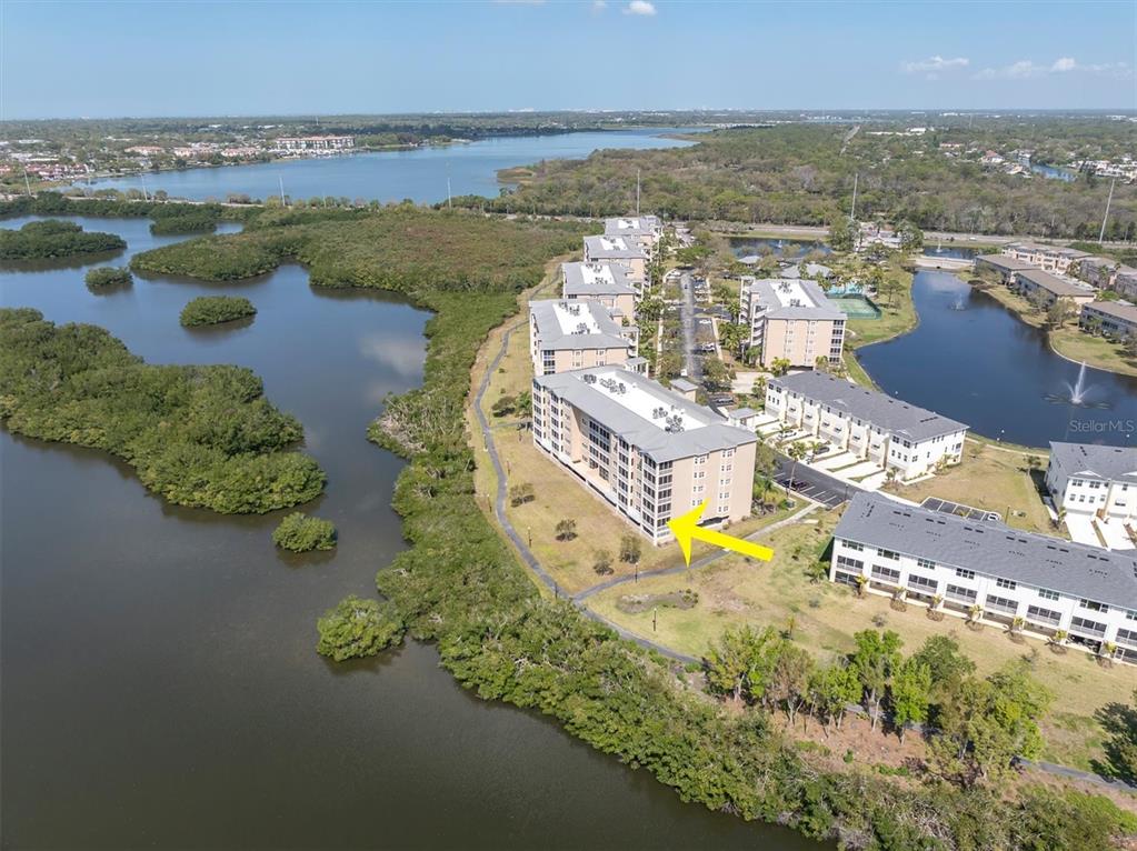 10002 Key Haven Road, Unit 201 Seminole, FL 33777 - Photo 38 of 70